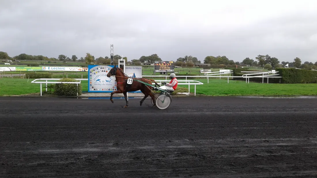 Hippodrome Meslay-du-Maine - Trot